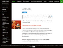 Tablet Screenshot of flipperantics.com